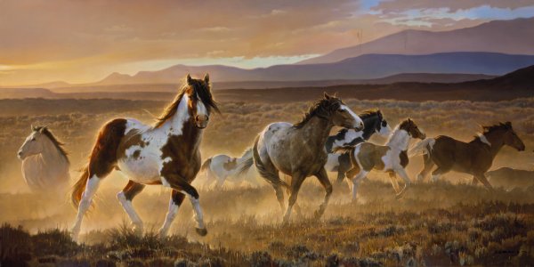 "Domino" Nancy Glazier - Giclee on canvas  20 x 40 S/N 250