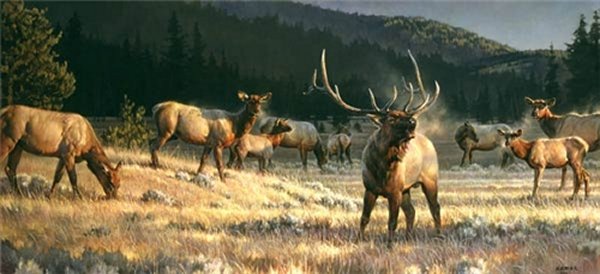 "Rocky Mountain Meado" Nancy Glazier - Giclee on canvas  20 x 40 S/N 250