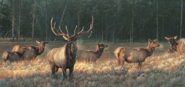 "Morning Magic" Nancy Glazier - Giclee on canvas  30 x 60 S/N 195